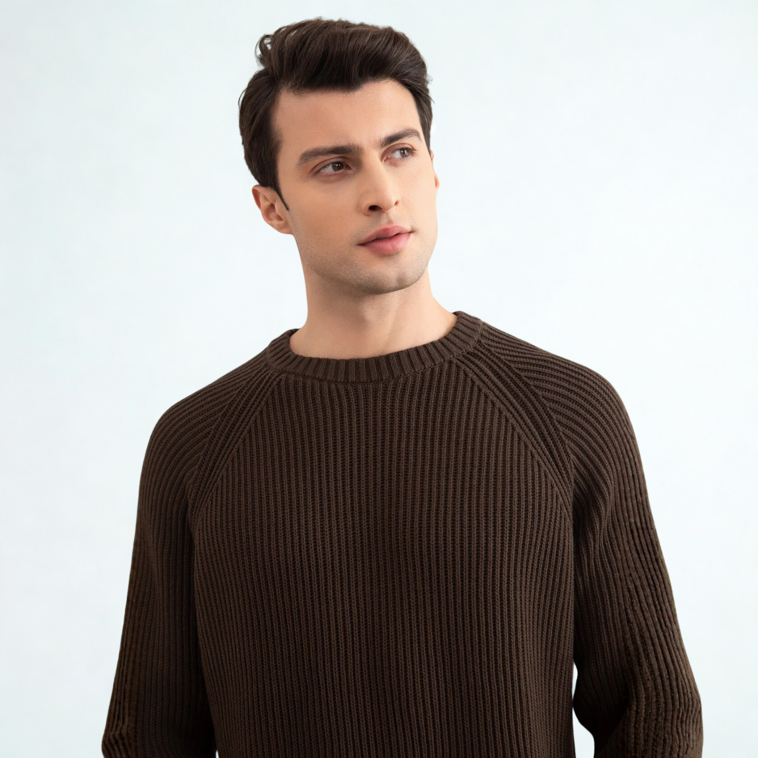 Brown English Rib Crewneck