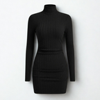 Black ribbed knit mini dress with turtleneck