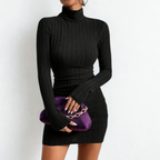 Black ribbed knit mini dress with turtleneck
