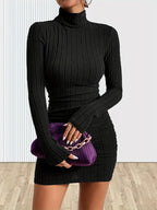 Black ribbed knit mini dress with turtleneck